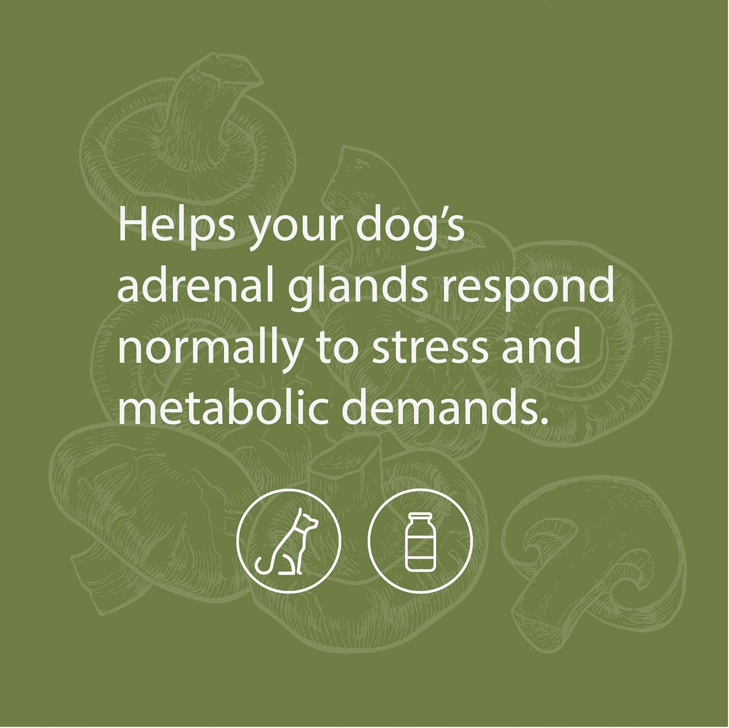 Canine Adrenal Support Powder Supplement for Liver & Kidney Health - 100g