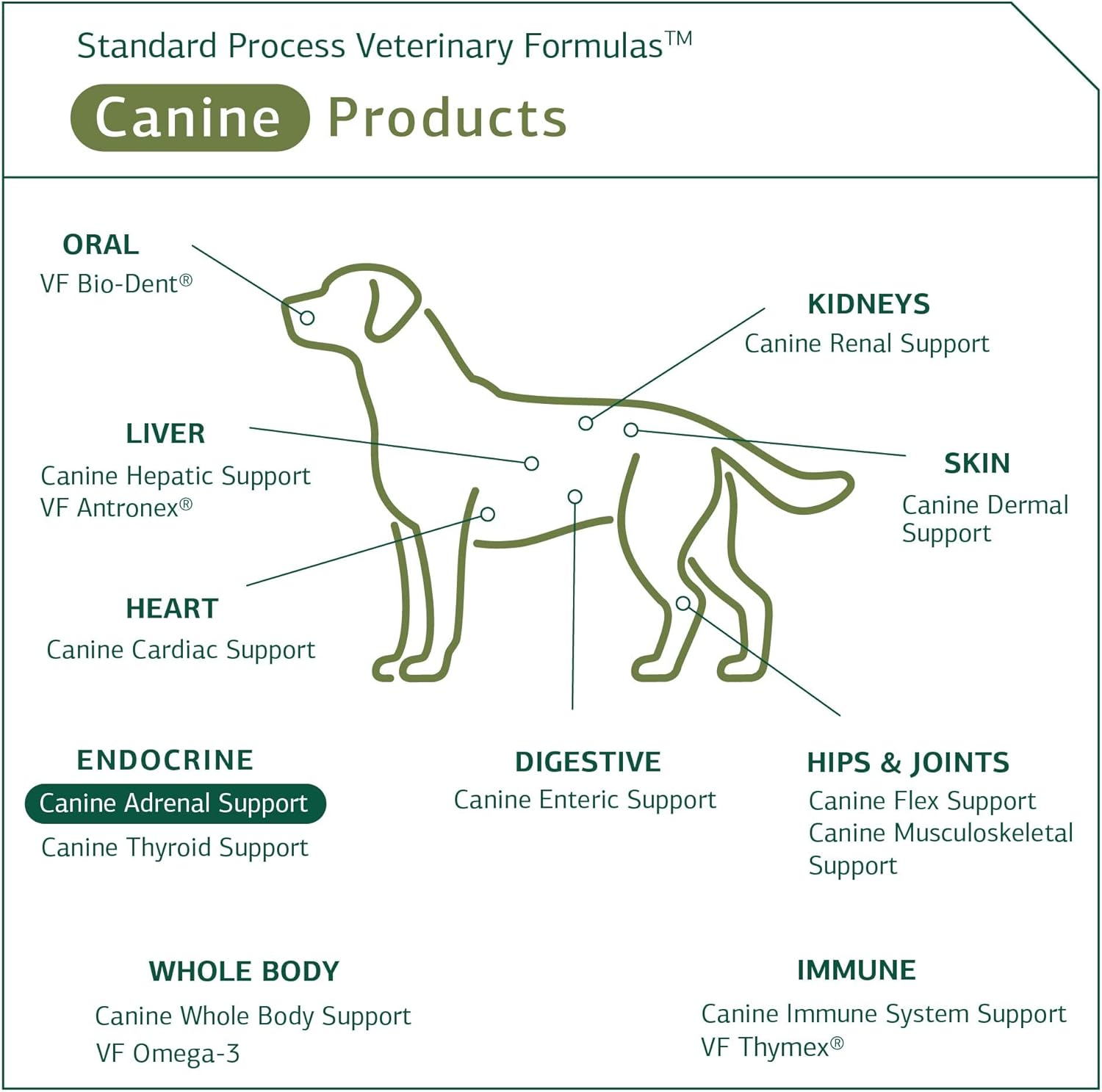 Canine Adrenal Support Powder Supplement for Liver & Kidney Health - 100g