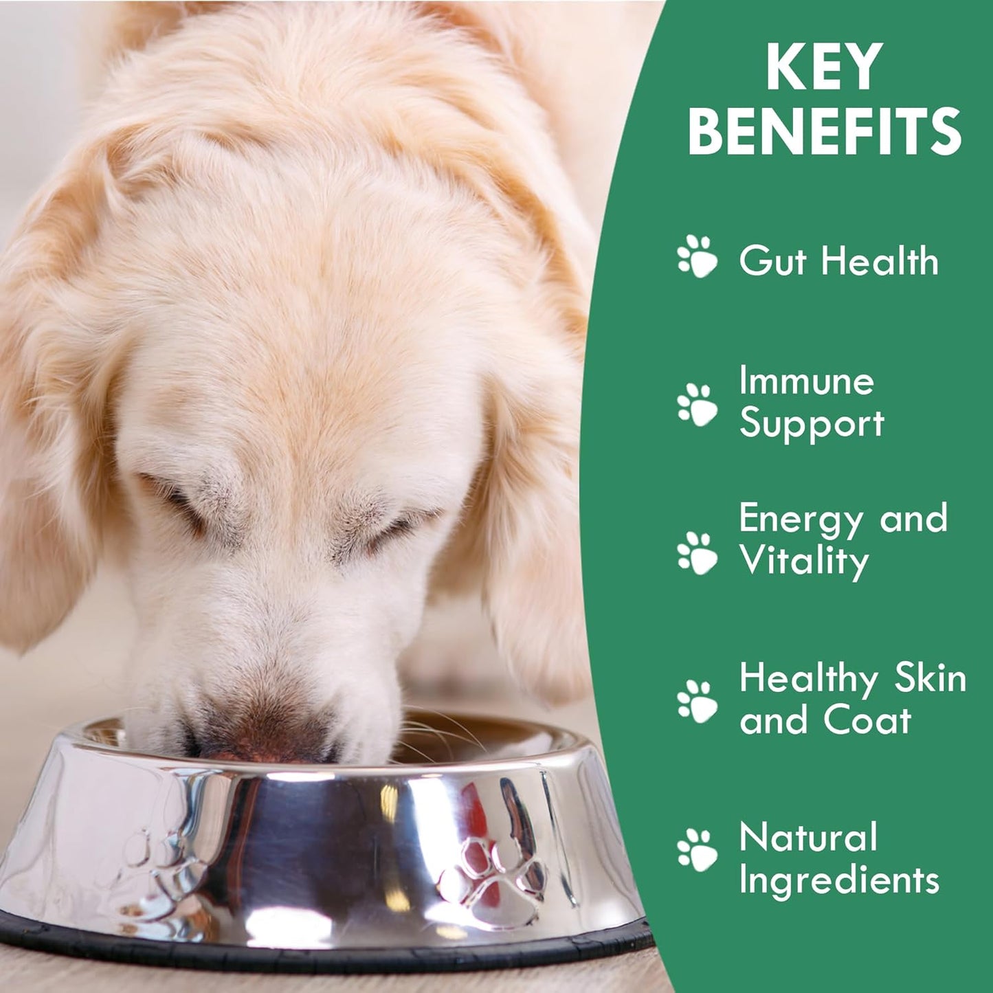 Canine Multivitamin Powder with Fermented Ingredients for Digestive Health - 50g Powder