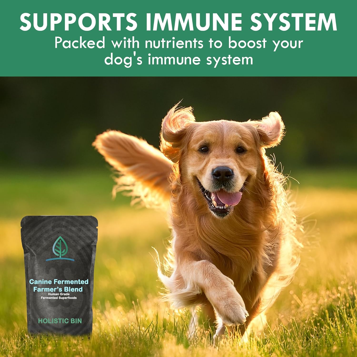 Canine Multivitamin Powder with Fermented Ingredients for Digestive Health - 50g Powder
