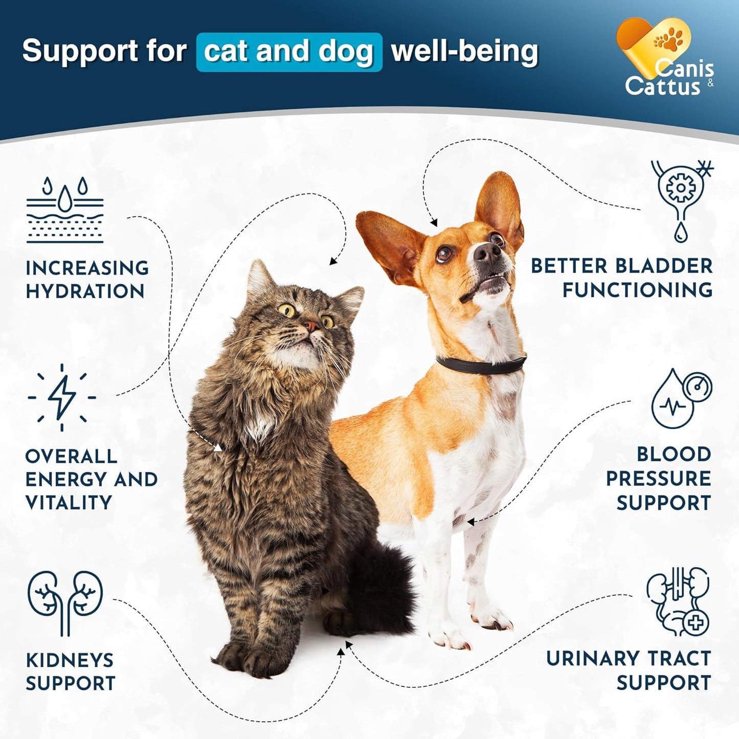 Canis&Cattus Dog and Cat Supplement Drops with Cranberry - 2 Oz