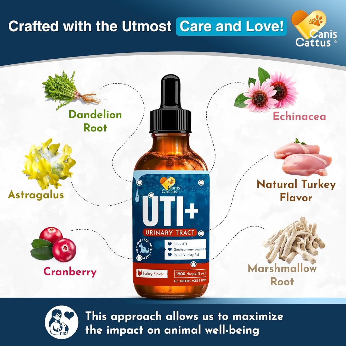 Canis&Cattus Dog & Cat Supplement Drops with Cranberry - 2 Oz Bottle