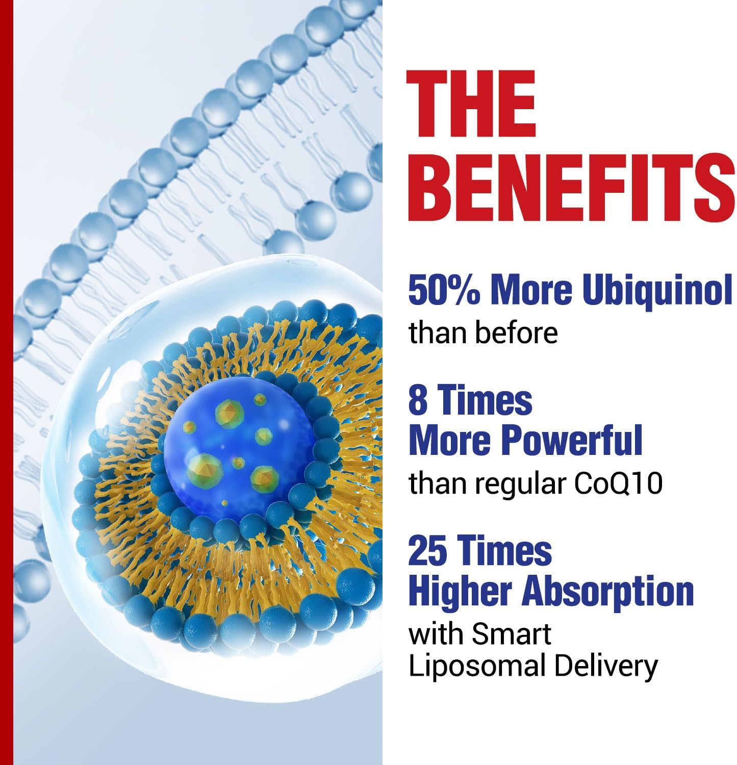 CardioREGAIN EX: Ubiquinol CoQ10 with Kaneka QH 150mg, Olive Fruit Extract, 25% Hydroxytyrosol, Enhanced Heart & Cellular Energy Support