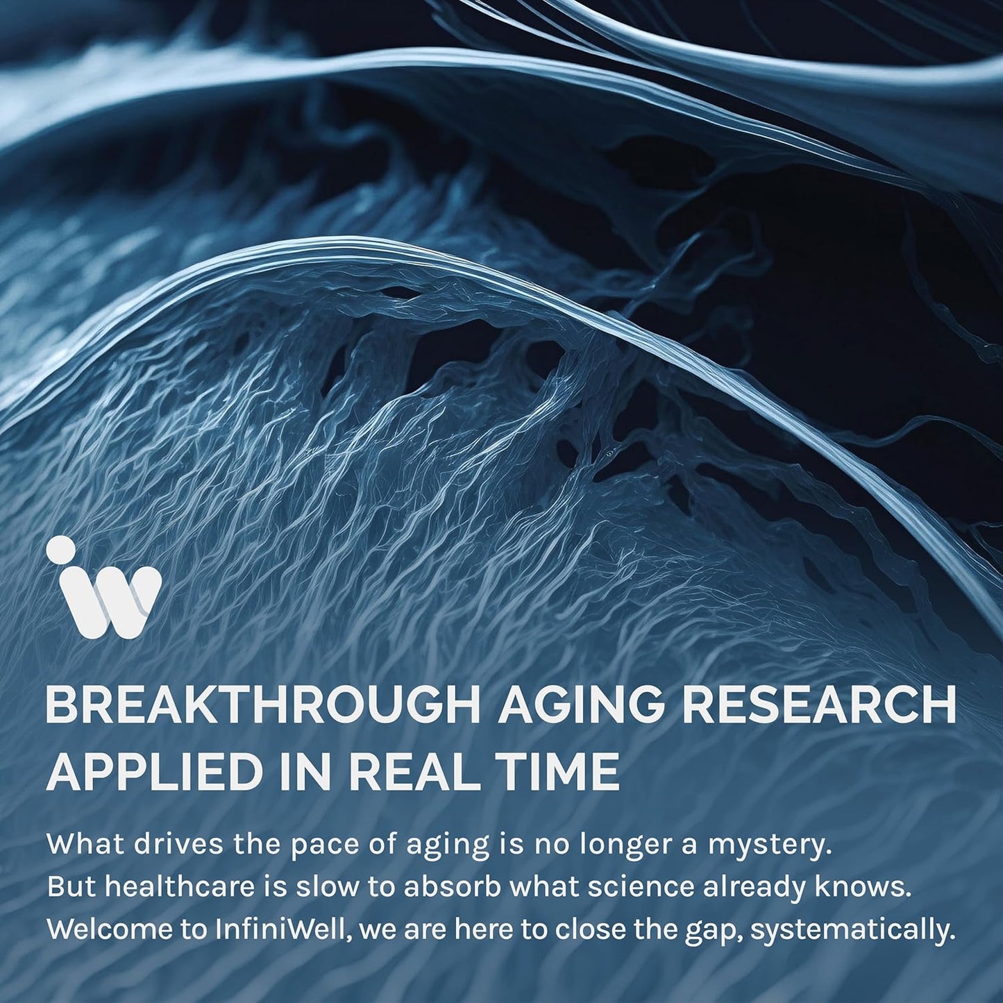 Cardiovascular Support Supplement with Bergamot, NAD3, Nattokinase - Promotes Heart Health and Circulation - 60 Capsules