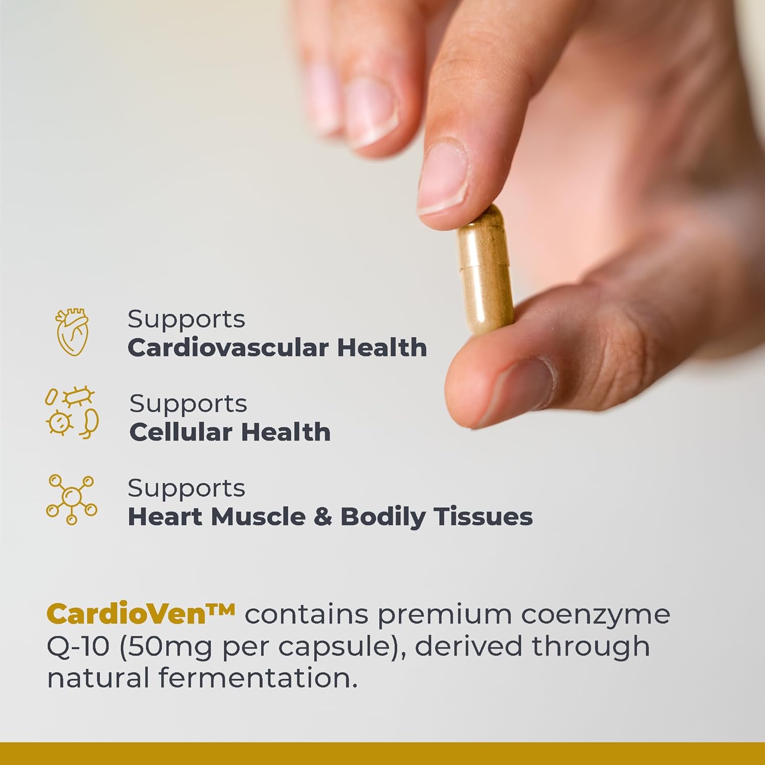 CardioVen Herbal Heart Support Supplement with CoQ10, Blueberry, Cardamom & Hawthorn Berry - 60 Vegan Capsules