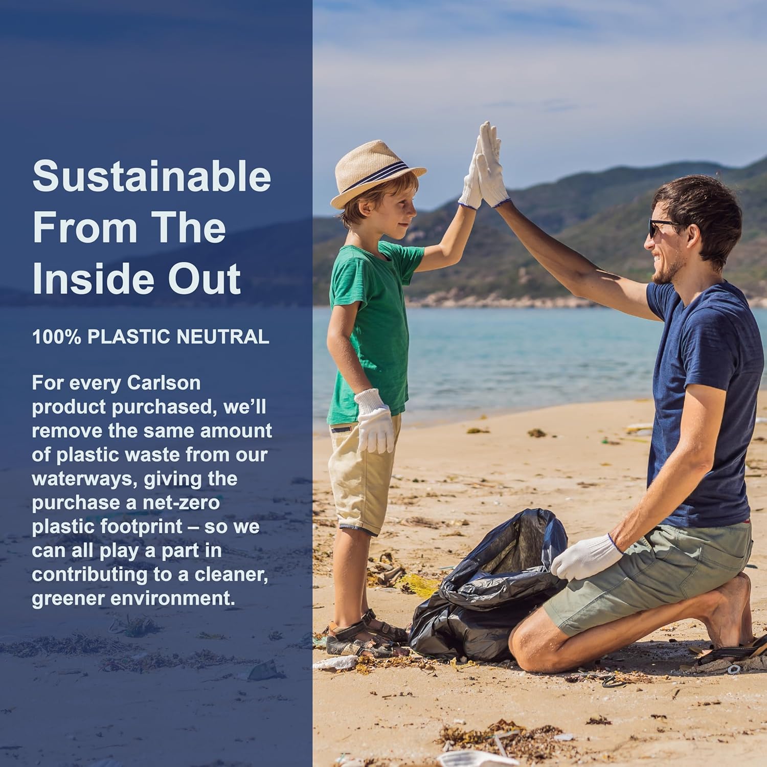 Carlson ACES + Zn Softgels Multivitamin with Zinc, Vitamins A, C, E, Selenium for Cellular Health & Immune Support, Antioxidant Formula