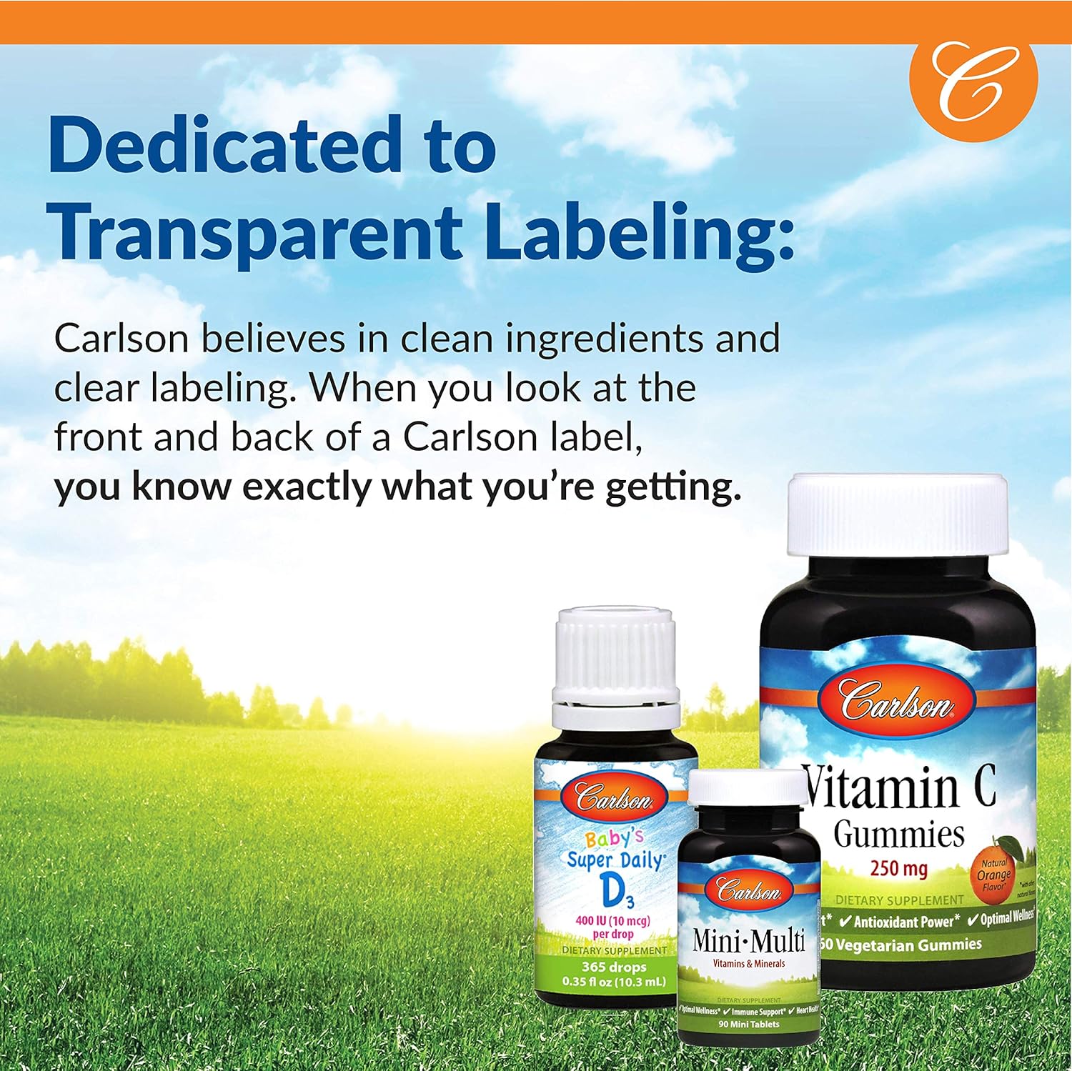 Carlson B-2 Riboflavin 100mg Tablets for Energy, Vision, and Skin - 250 Vegetarian Tablets