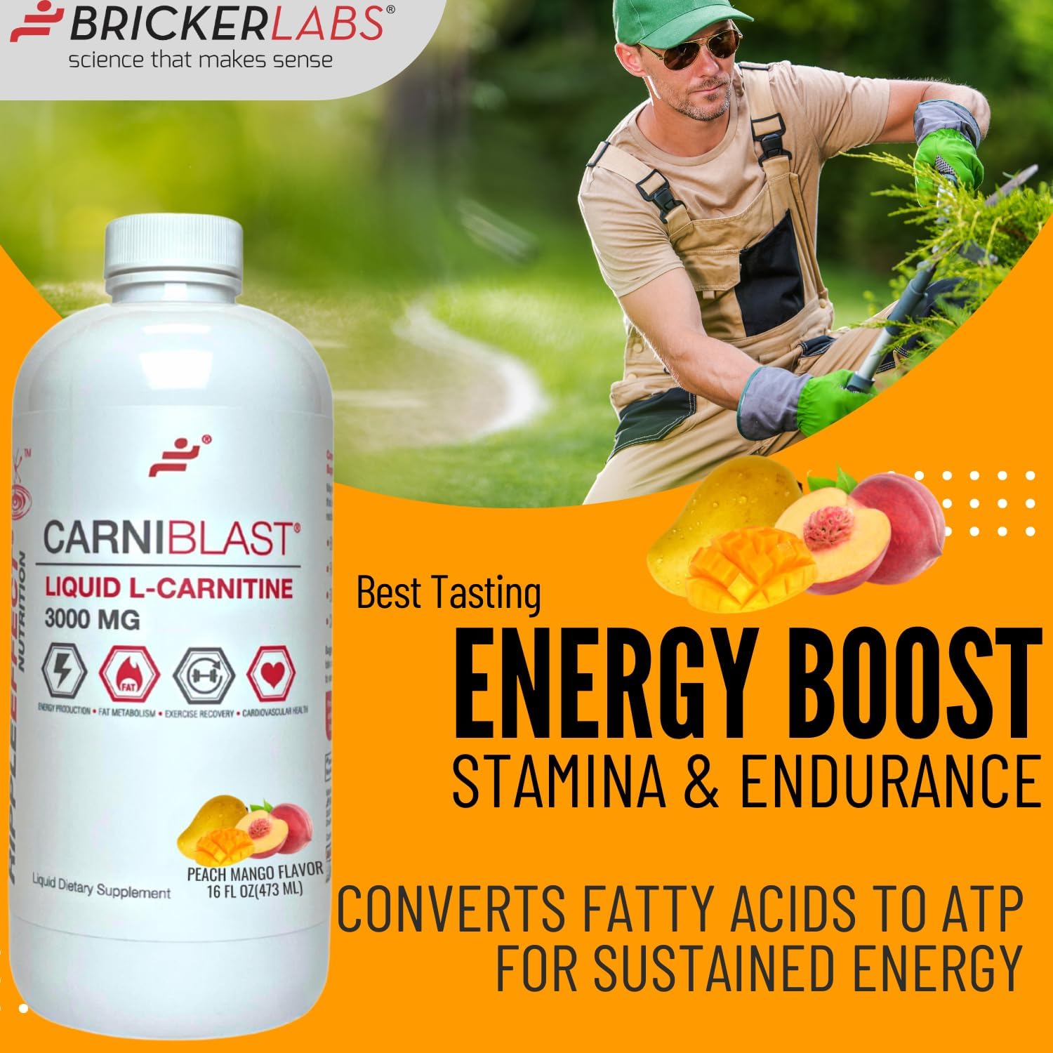 Carniblast Liquid L-Carnitine 3000 mg & Optiflow Blood Flow Supplement Combo, 60 Capsules - Enhance Power and Performance