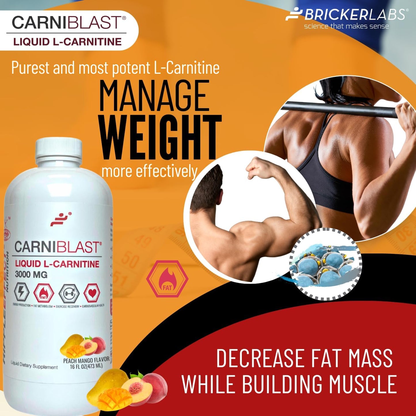 Carniblast Liquid L-Carnitine 3000 mg & Optiflow Blood Flow Supplement Combo, 60 Capsules - Enhance Power and Performance