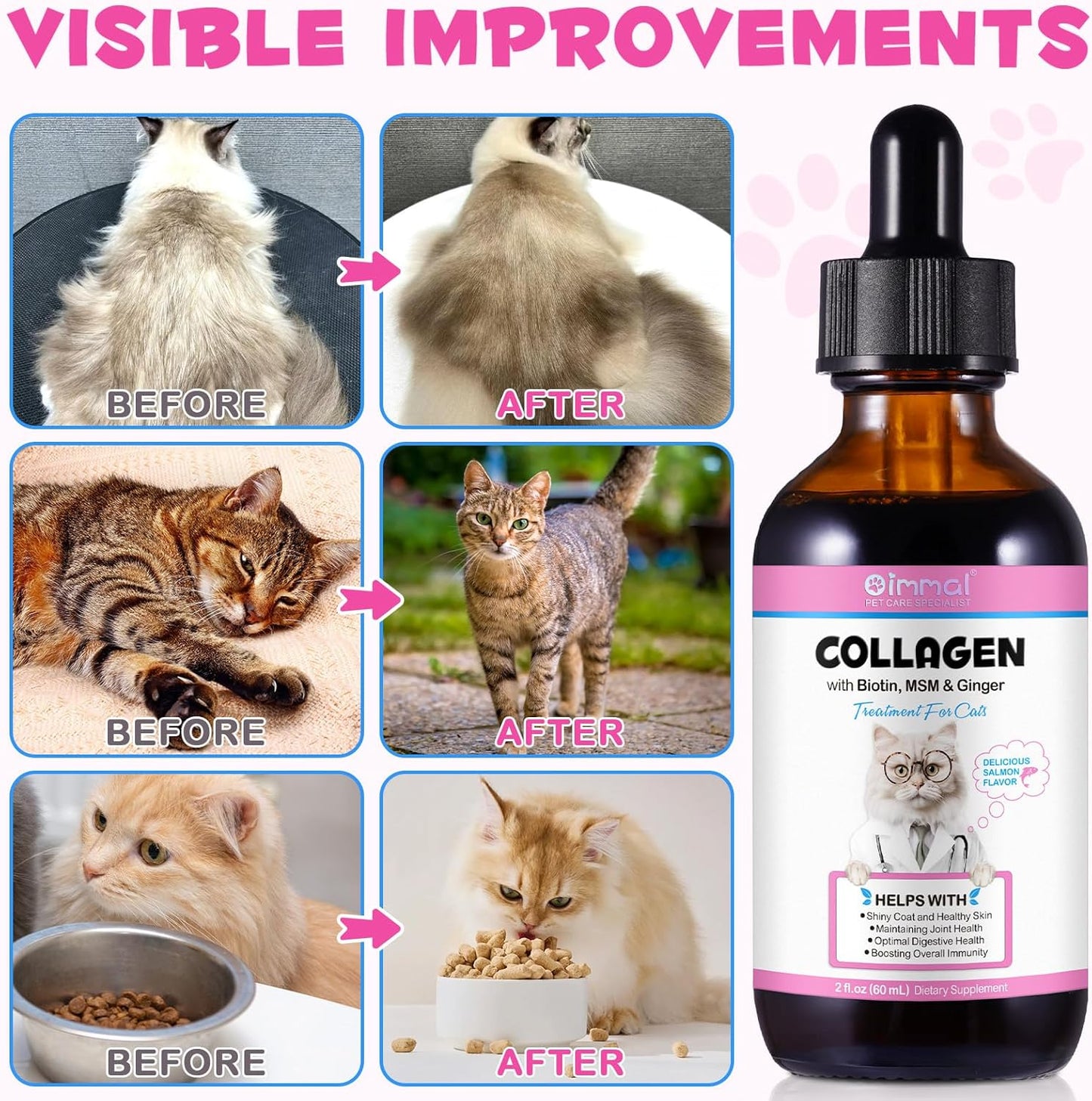 Cat Collagen Liquid Drops with Biotin, MSM & Ginger for Digestive & Immunity Support - 60ml, Pack of 2