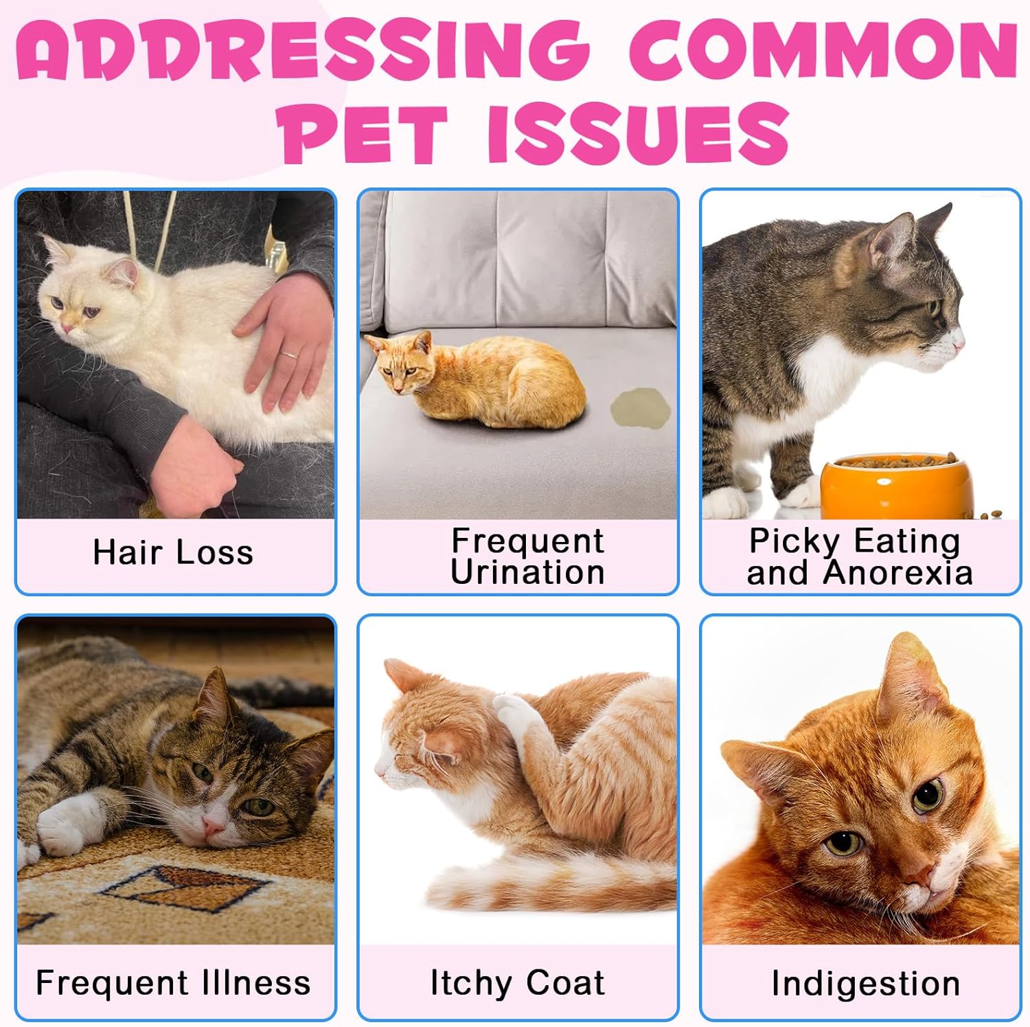 Cat Collagen Liquid Drops with Biotin, MSM & Ginger for Digestive & Immunity Support - 60ml, Pack of 2