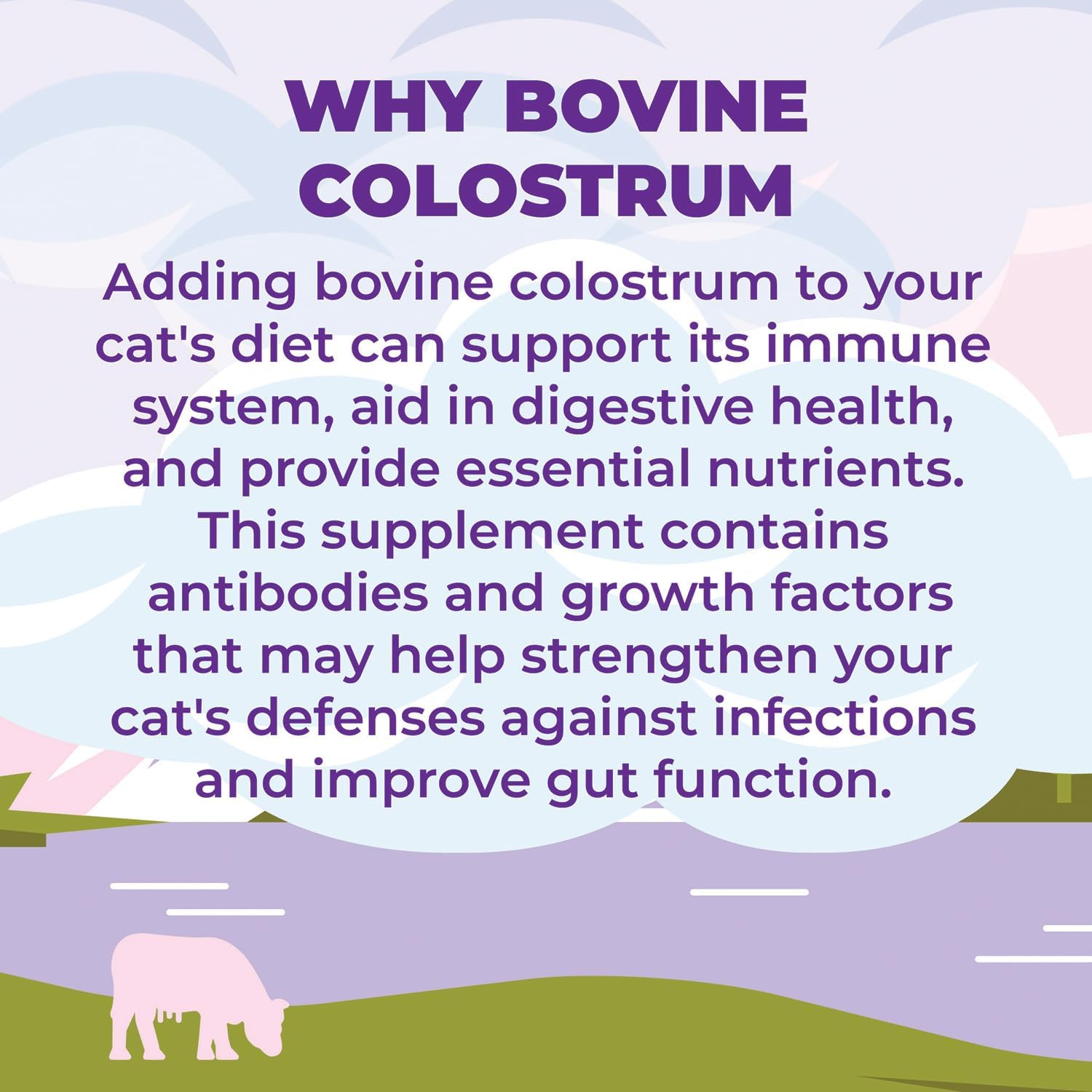 Cat Colostrum Plus Superfood Supplement for Immune, Digestive, Allergy Relief, Joint, Skin & Coat Health - 240 Day Supply