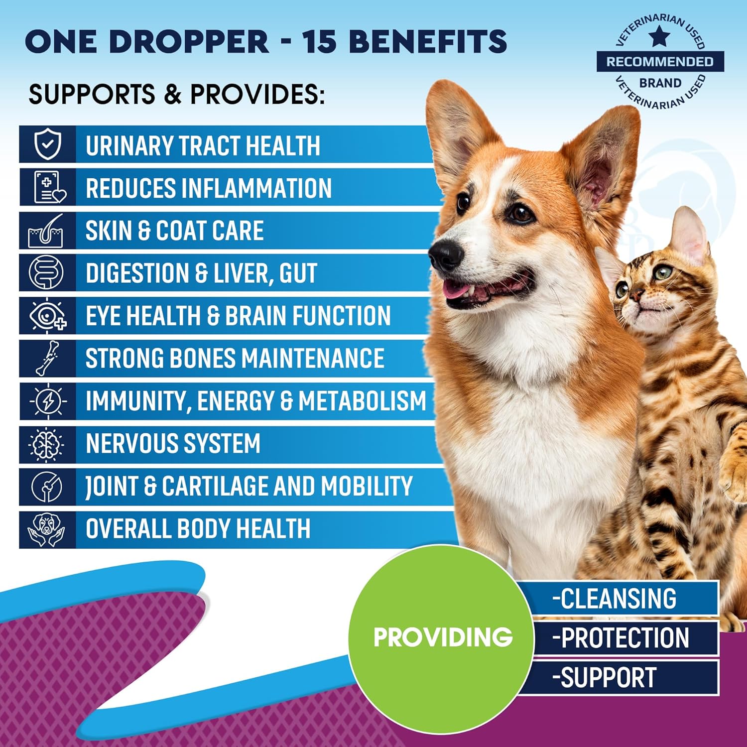 Cat & Dog Multivitamin Liquid with Glucosamine, Cranberry & 15 Health Supplements | Natural UTI Medicine for Kidney, Bladder, Hip, Joint, Skin & Coat | Made in USA (60 ml) - BoostGo Australia