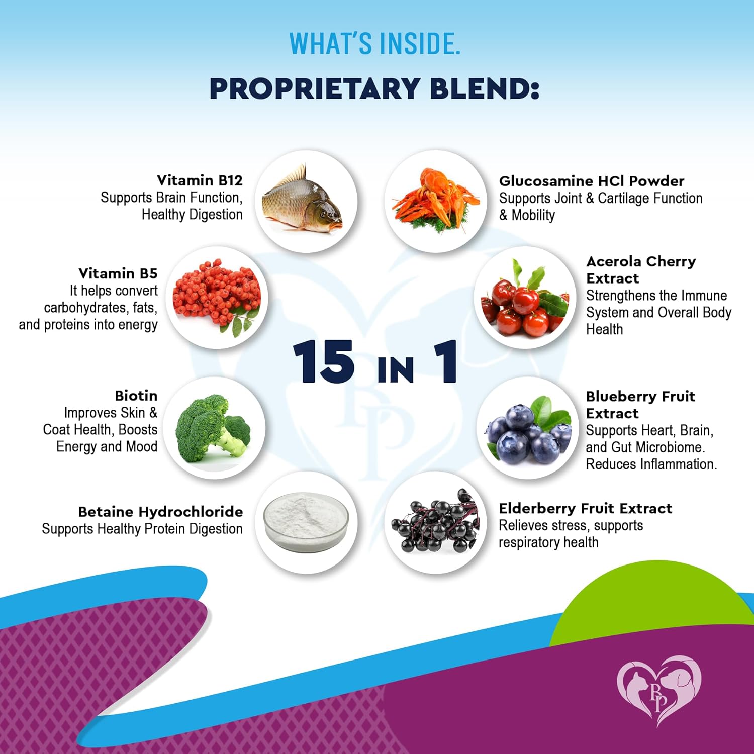 Cat & Dog Multivitamin Liquid with Glucosamine, Cranberry & 15 Health Supplements | Natural UTI Medicine for Kidney, Bladder, Hip, Joint, Skin & Coat | Made in USA (60 ml) - BoostGo Australia