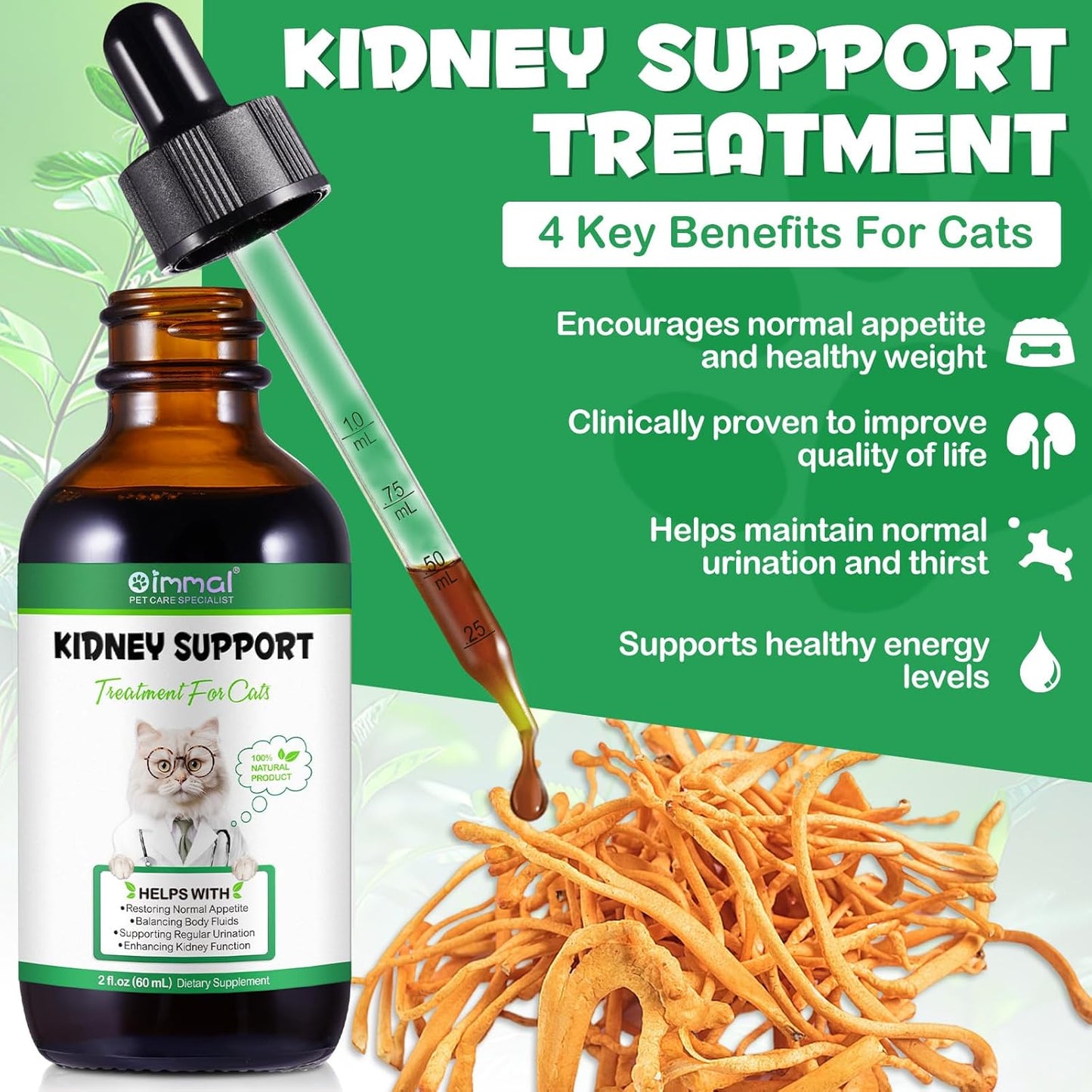 Cat Kidney Support Supplement for Regular Urination & Immunity Boost - Herbal Treatment for Healthy Kidney Function - 60ml