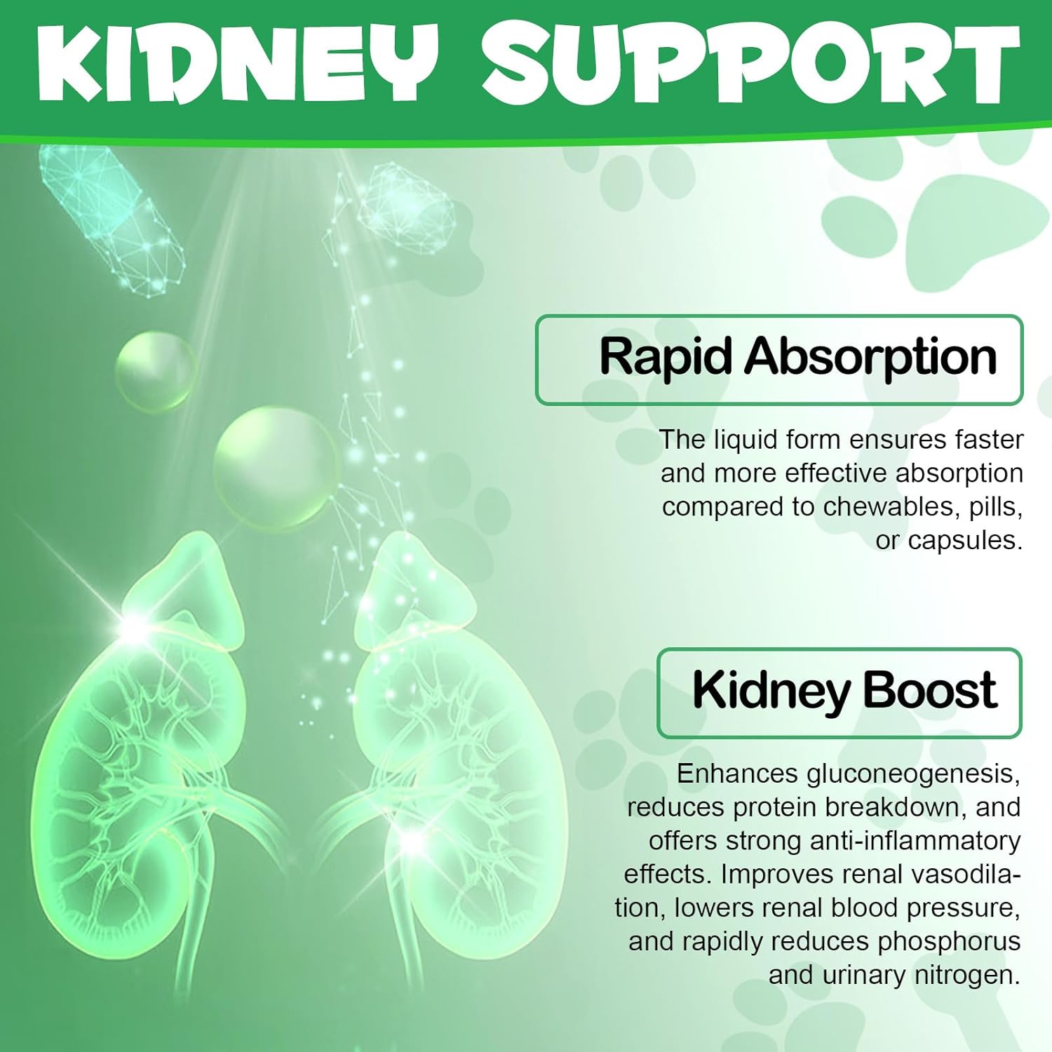 Cat Kidney Support Supplement for Regular Urination & Immunity Boost - Herbal Treatment for Healthy Kidney Function - 60ml