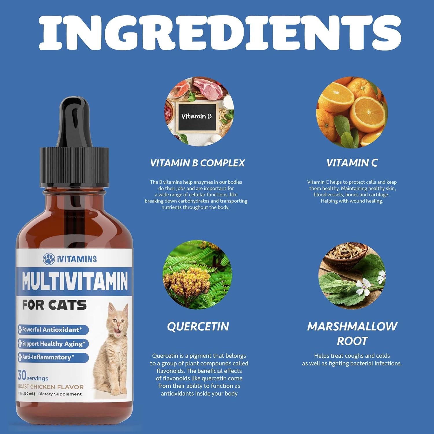 Cat Multivitamin for Immune, Skin, Coat, & Heart Health - Indoor Cat Supplements & Vitamins - Kitten Immune Support