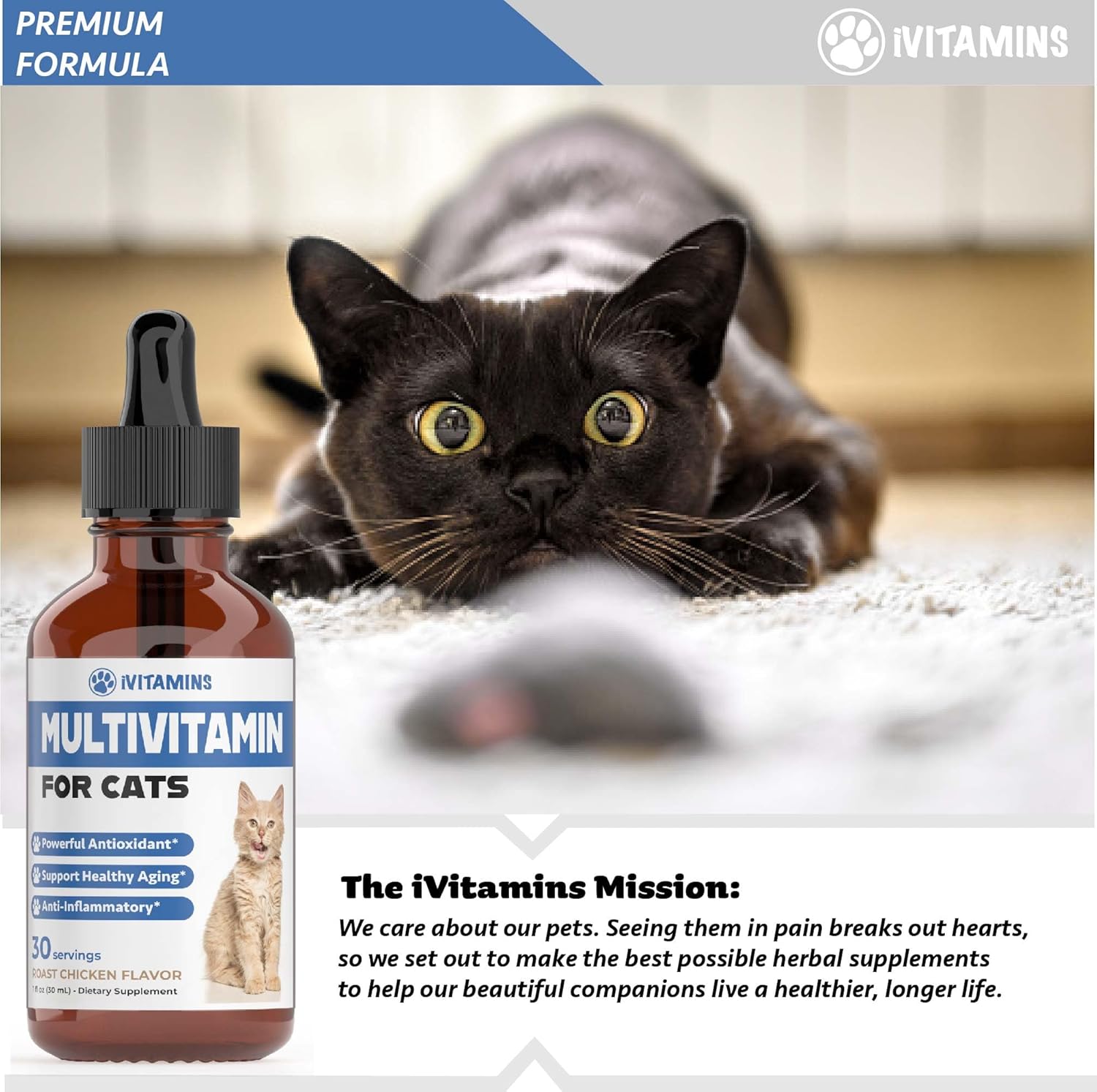 Cat Multivitamin for Immune, Skin, Coat, & Heart Health - Indoor Cat Supplements & Vitamins - Kitten Immune Support