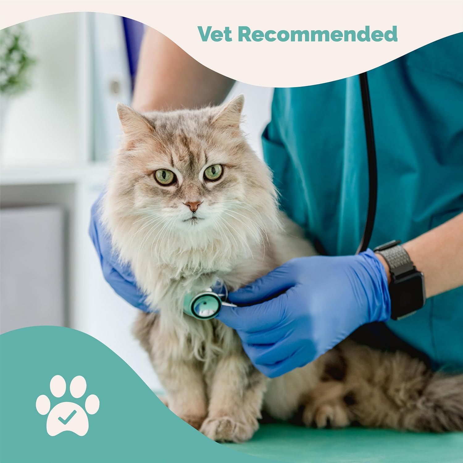 Cat Probiotic Powder for Digestive Health and Immune Support by PranaPets