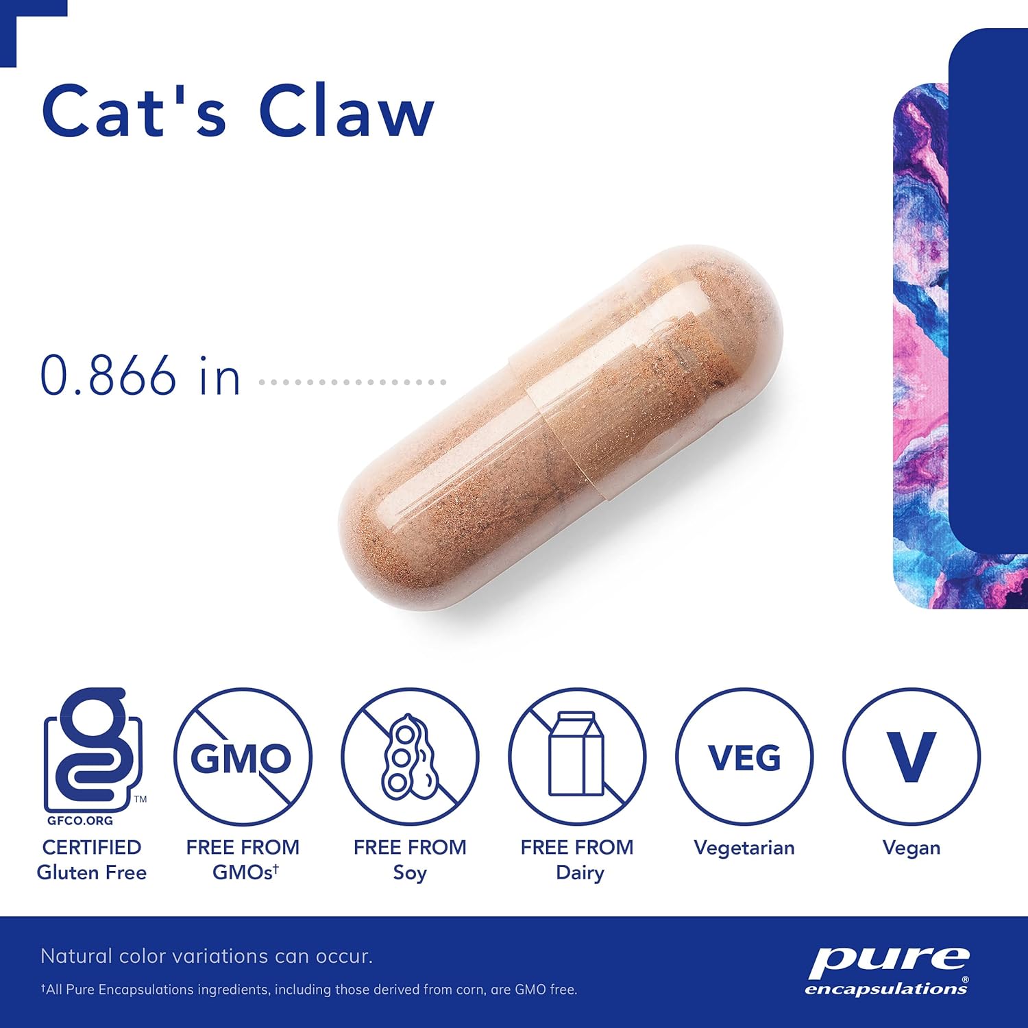 Cat's Claw Supplement for Joint, Immune, Cardiovascular, and Gut Health - 90 Capsules