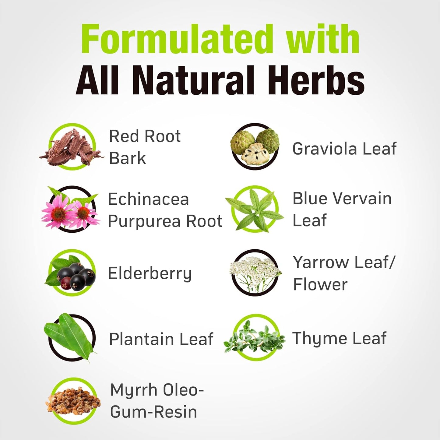 Cedar Bear Naturales Lymphatic Cleanse - Alcohol-Free Immune Support Supplement with Natural Herbs for Lymphatic Drainage, Liquid Herbal Supplements, 2 fl oz