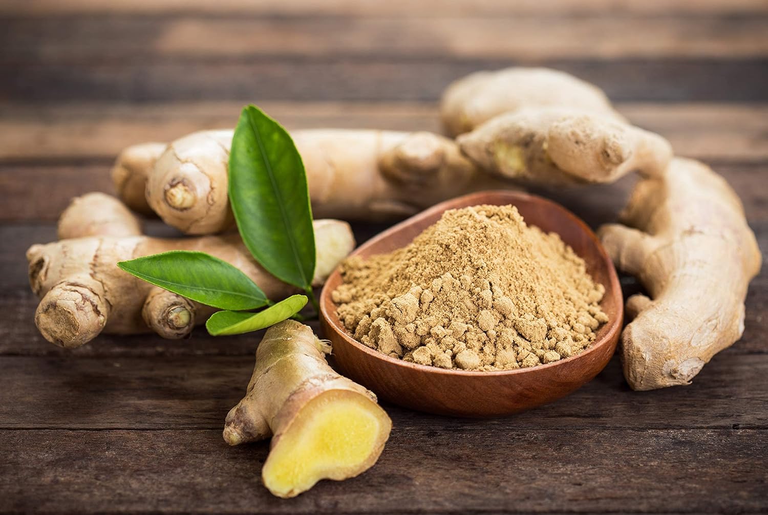 Cedar Bear Naturales Queasy Ease for Kids 1 FL Oz - Soothing Digestive Support for Children