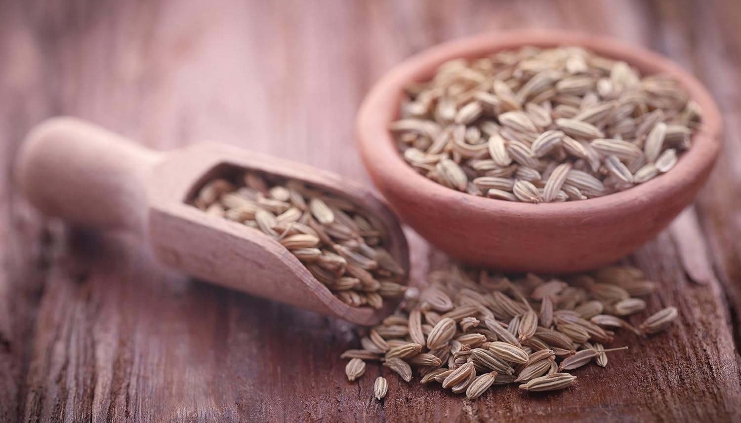 Cedar Bear Naturales Queasy Ease for Kids 1 FL Oz - Soothing Digestive Support for Children