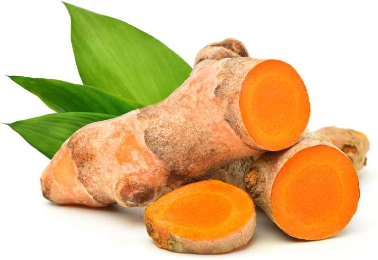 Cedar Bear Naturales Turmeric Root Liquid Herbal Supplement 1 Fl Oz - Supports Healthy Cellular Activity & Immune Function