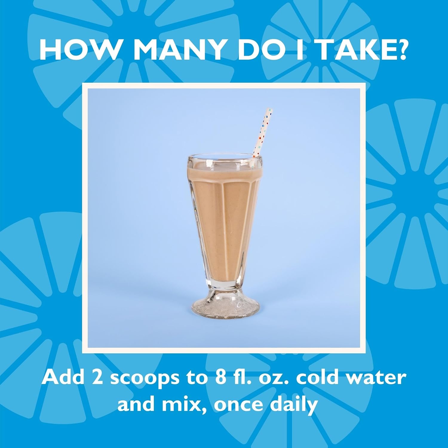 Celebrate Vitamins Vegan Protein Powder - Vanilla Chai Flavor - 20g Plant-Based Pea Protein & 3g Fiber - Post-Bariatric Surgery Supplement