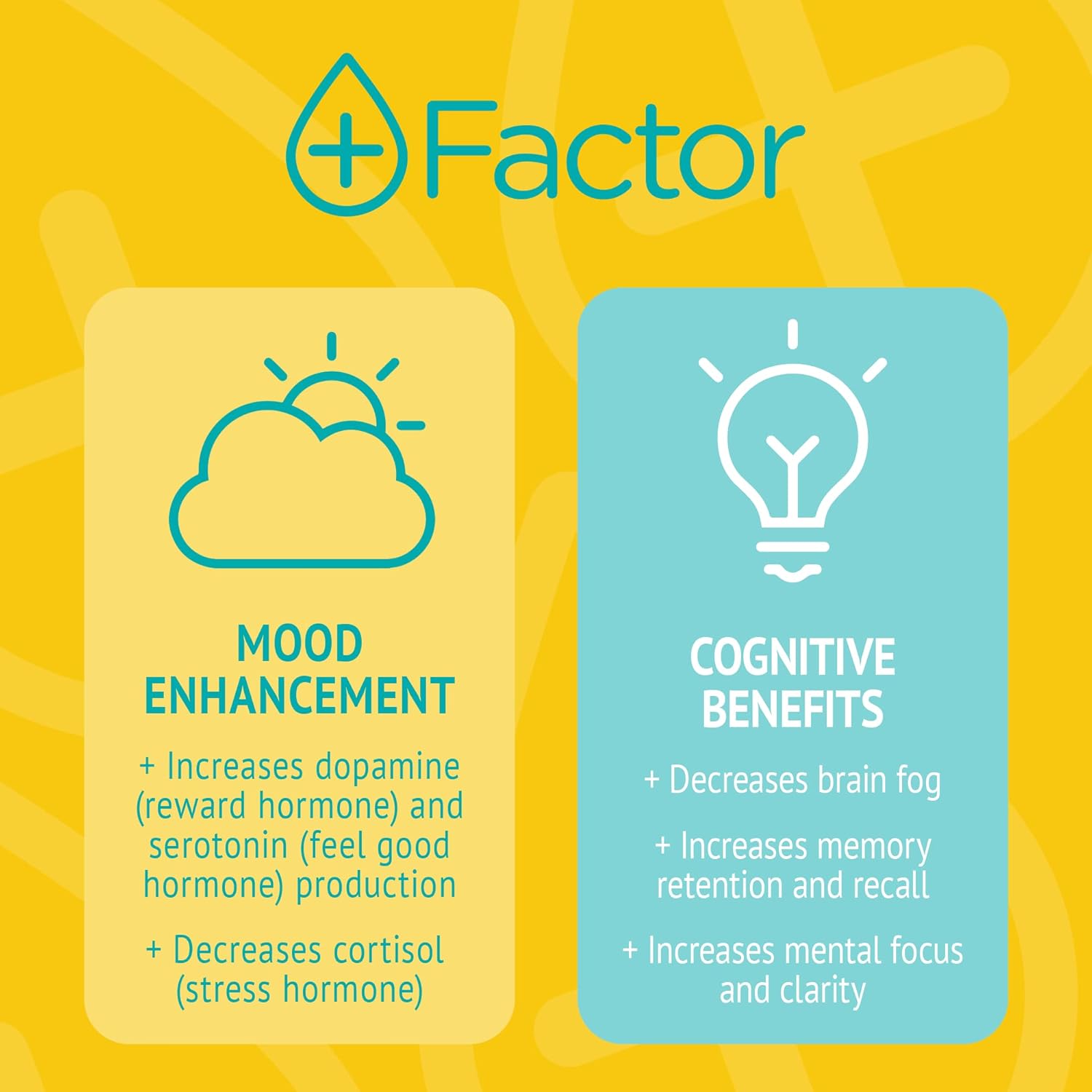 Cellular Boost Complex with Methylene Blue & Silver Nano Particles - Boost Brain Focus, Memory, and Energy Production - Mitochondria Booster for Oxygen Boost