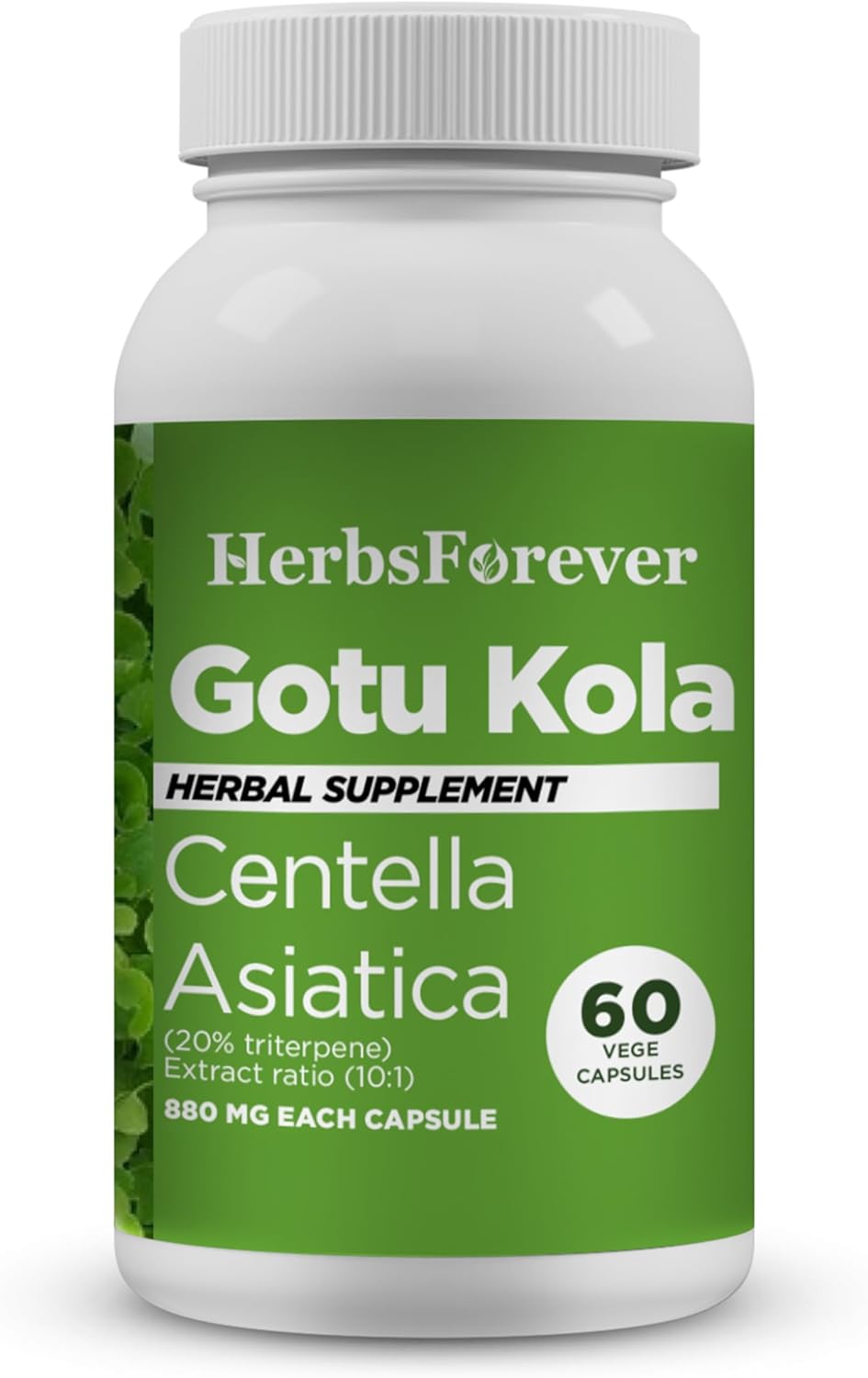 Centella Asiatica Stress Relief Supplement 60 Vege Capsules 800 Mg - Herbsforever Gotu Kola Capsules
