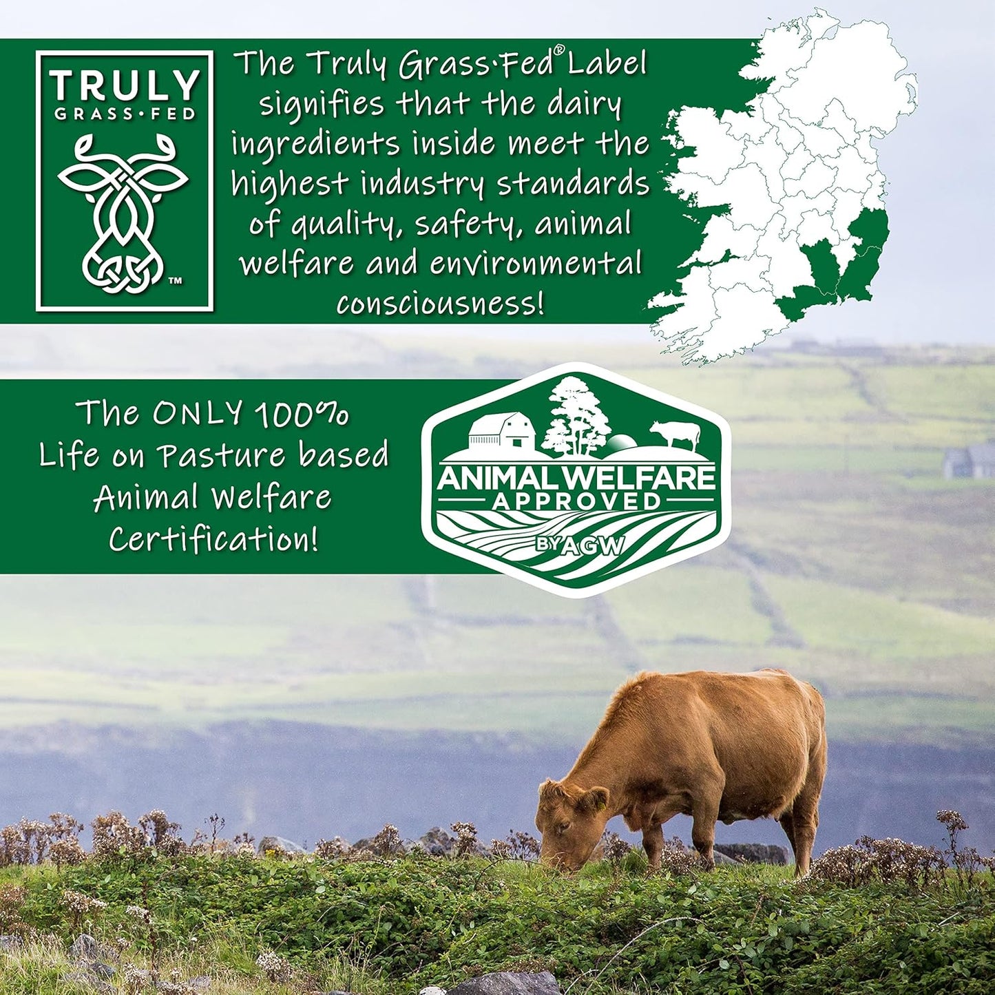 Certified Grass Fed Whey Protein Isolate Powder - Unflavored & Unsweetened - 3lbs - AGN Roots - ASPCA Registered Brand - Informed-Sport Compliant