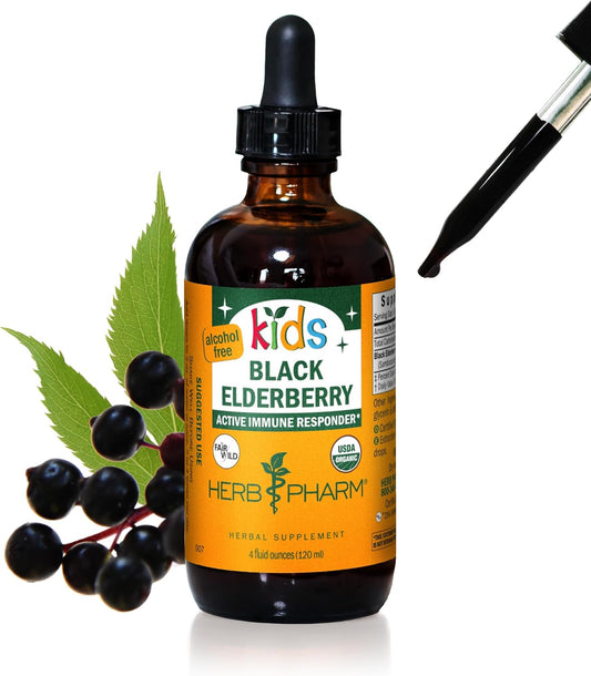 Certified-Organic Alcohol-Free Black Elderberry Glycerite Liquid Extract for Kids - 4 Ounce