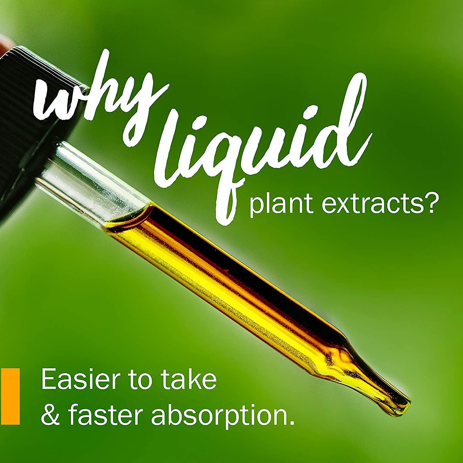 Certified Organic Black Cohosh Liquid Extract - Female Reproductive System Support (4 oz)