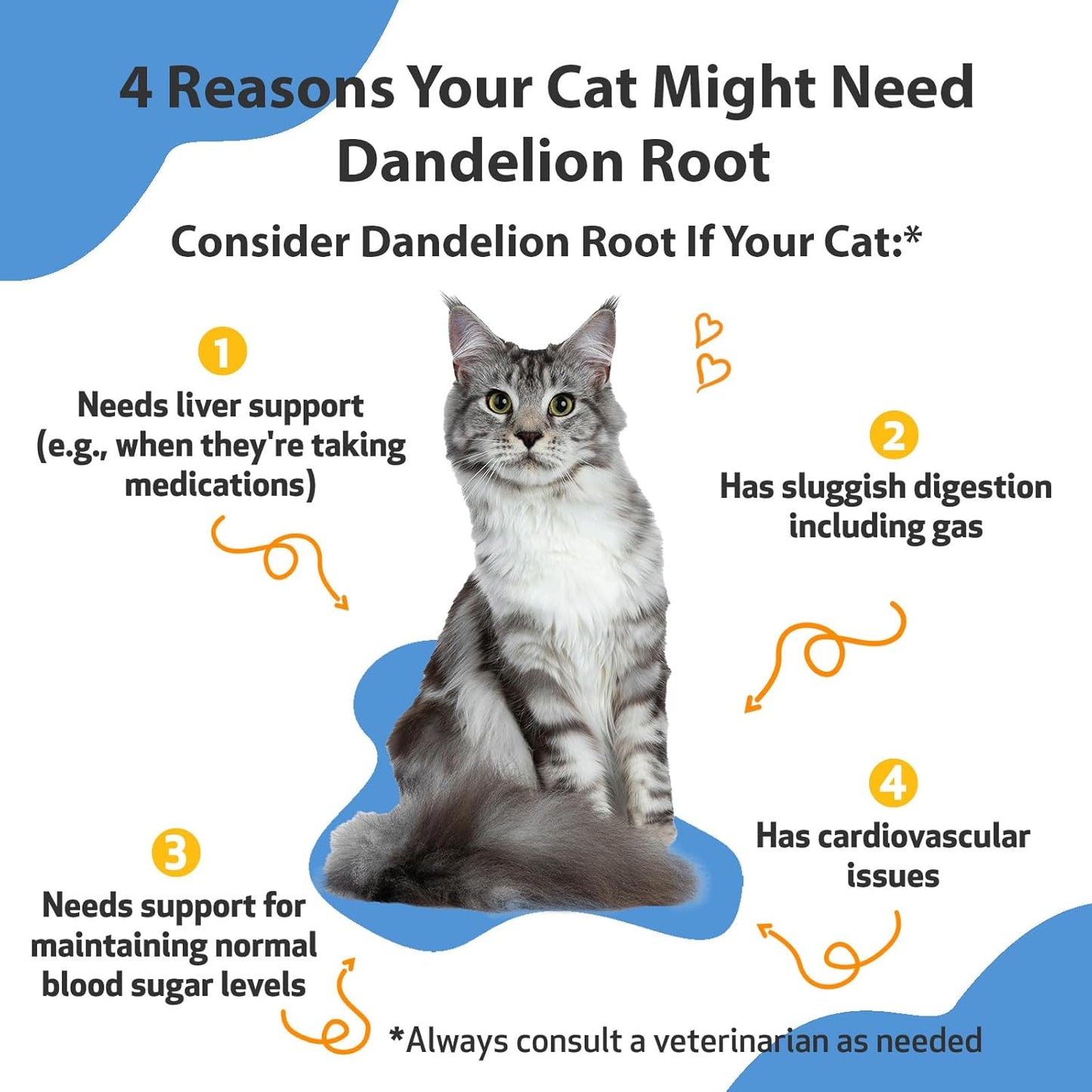 Certified Organic Dandelion Root Supplement for Cats - Promotes Liver & Heart Health, Digestive Function, Blood Sugar Support - Veterinarian-Formulated - 2 oz (59 ml)