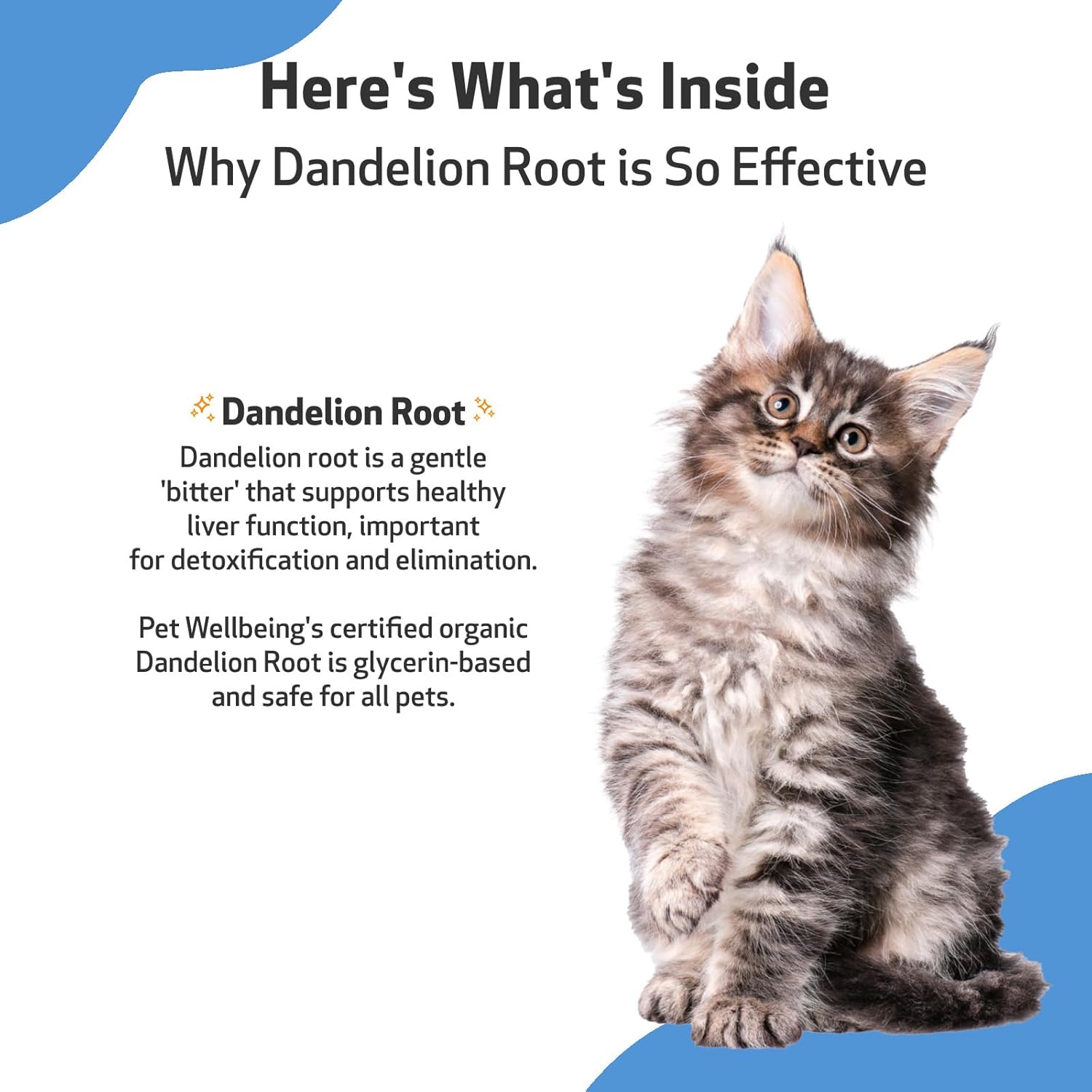 Certified Organic Dandelion Root Supplement for Cats - Promotes Liver & Heart Health, Digestive Function, Blood Sugar Support - Veterinarian-Formulated - 2 oz (59 ml)