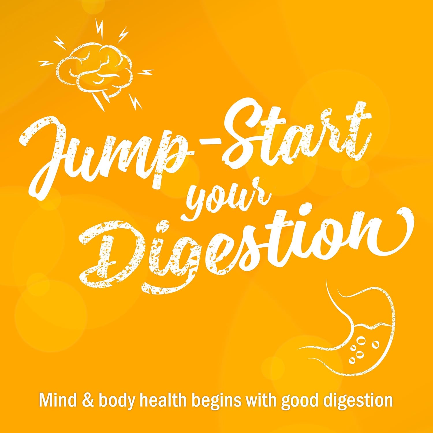 Certified Organic Digestive Bitters by Herb Pharm - Orange Flavor - 1 Ounce