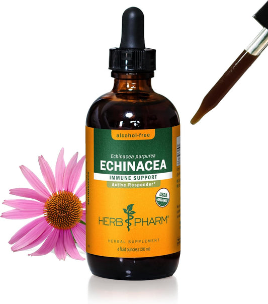 Certified Organic Echinacea Root Liquid Extract - Immune System Support, Alcohol-Free Glycerite - 4 Ounce by Herb Pharm