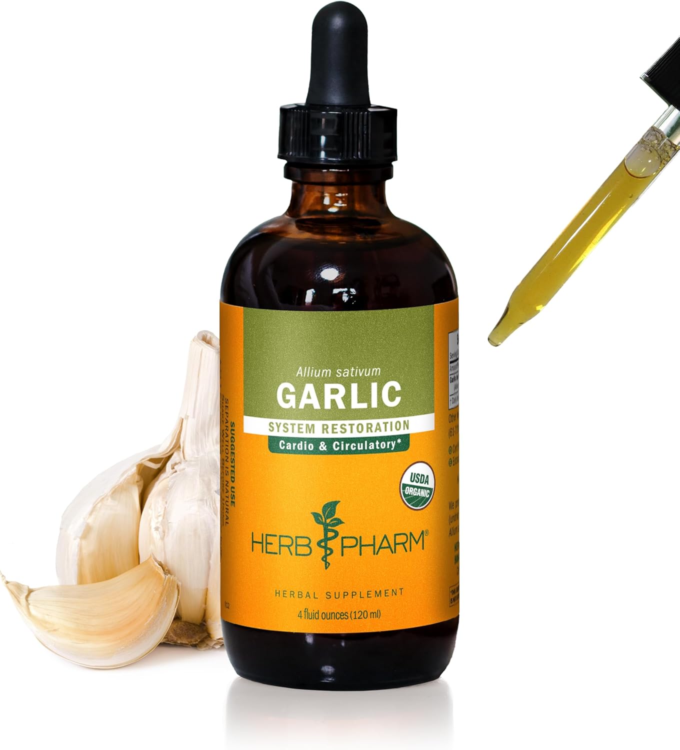 Certified Organic Garlic Liquid Extract for Cardiovascular and Circulatory Support - 4 Ounce by Herb Pharm