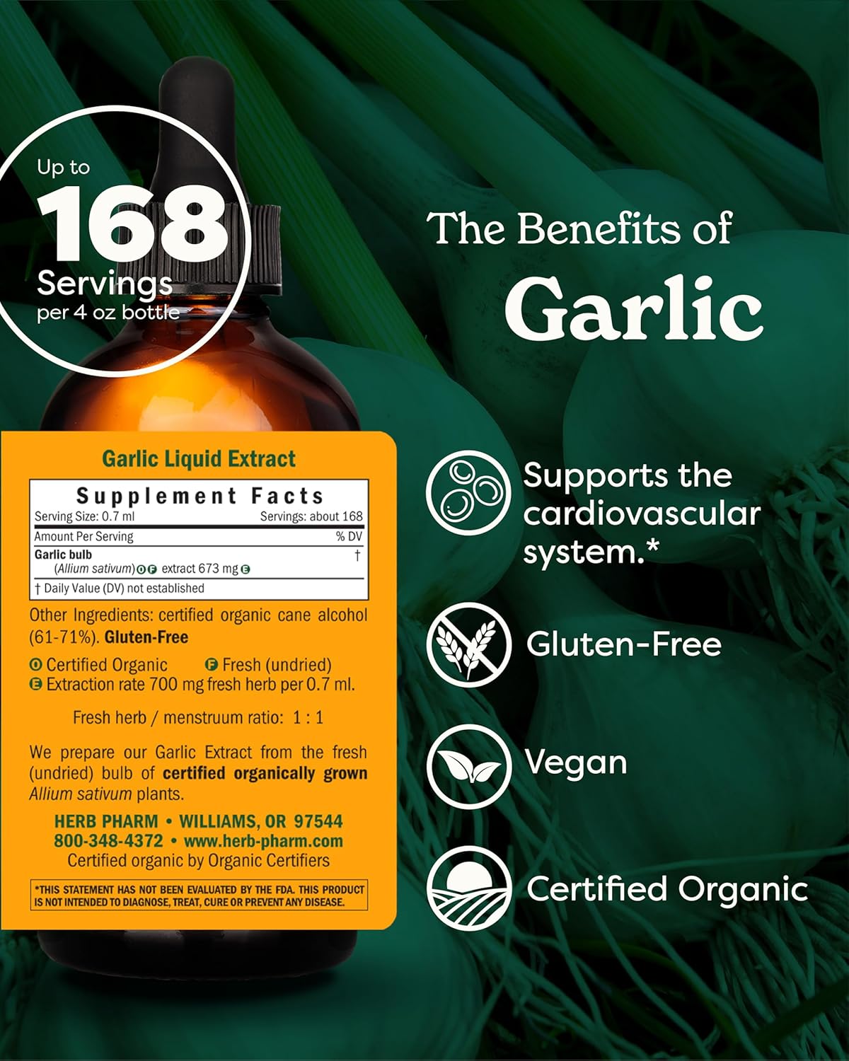 Certified Organic Garlic Liquid Extract for Cardiovascular and Circulatory Support - 4 Ounce by Herb Pharm
