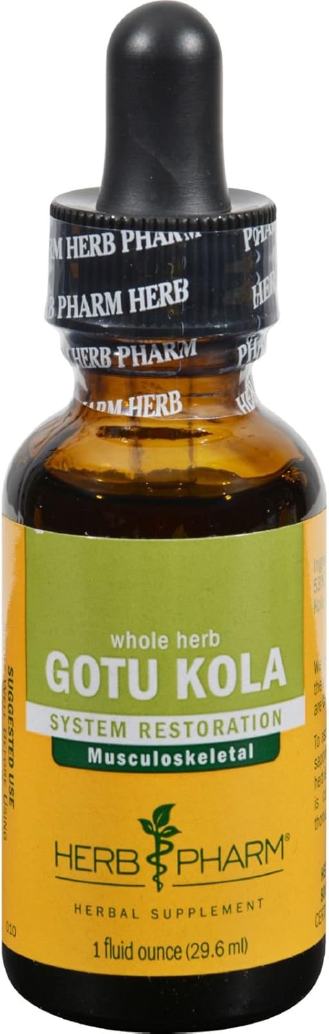 Certified Organic Gotu Kola Liquid Extract - Support for Musculoskeletal System - 1 Fl Oz