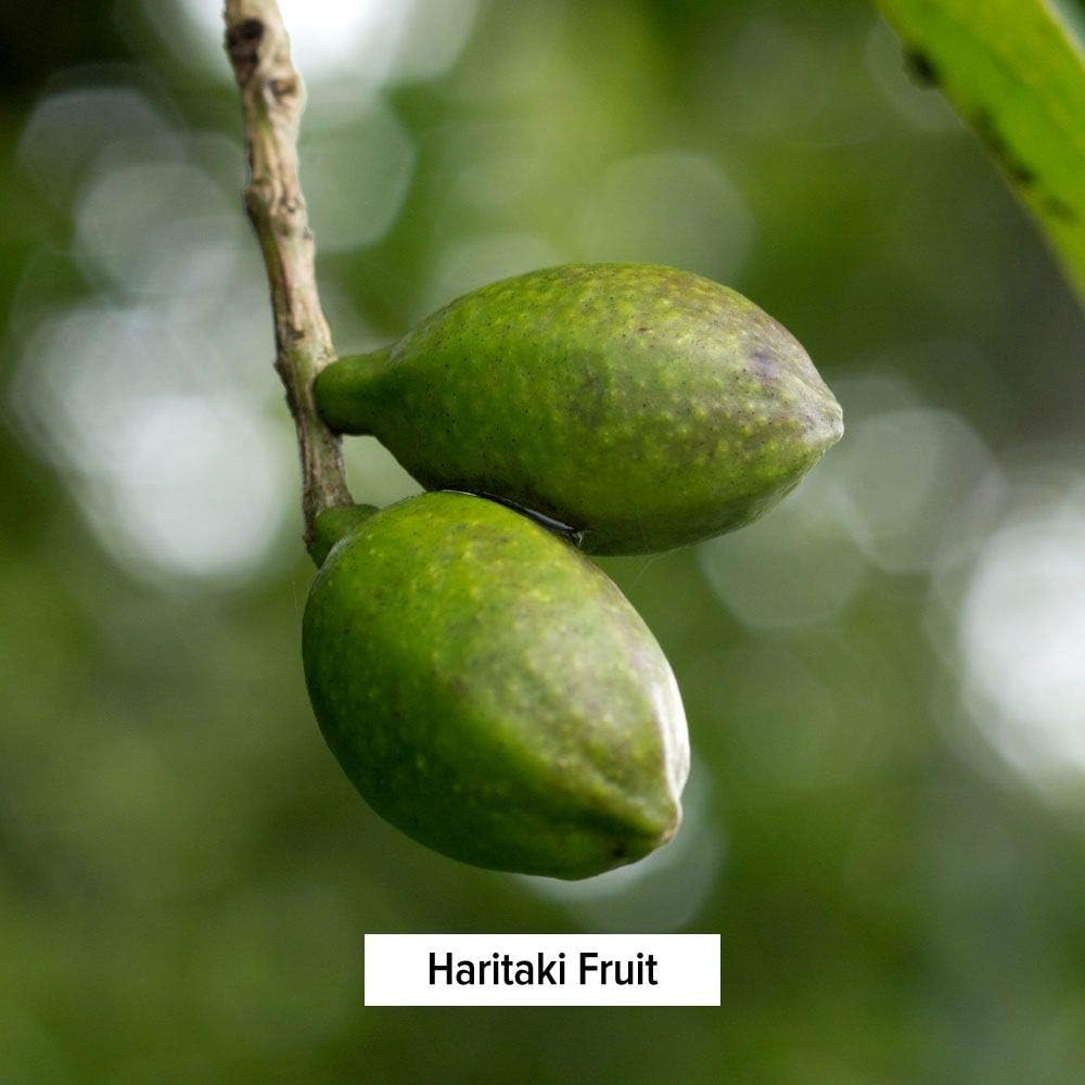 Certified Organic Haritaki Powder - 1/2 Pound - Terminalia chebula for Detox & Rejuvenation - Vegan, Non-GMO, Gluten Free - Fair Trade