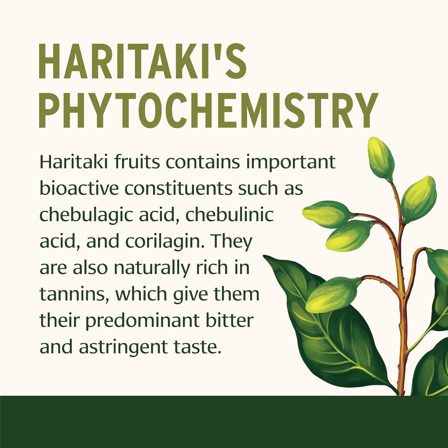 Certified Organic Haritaki Tablets for Detox & Rejuvenation - 90 Tablets - Non-GMO & Fair Trade