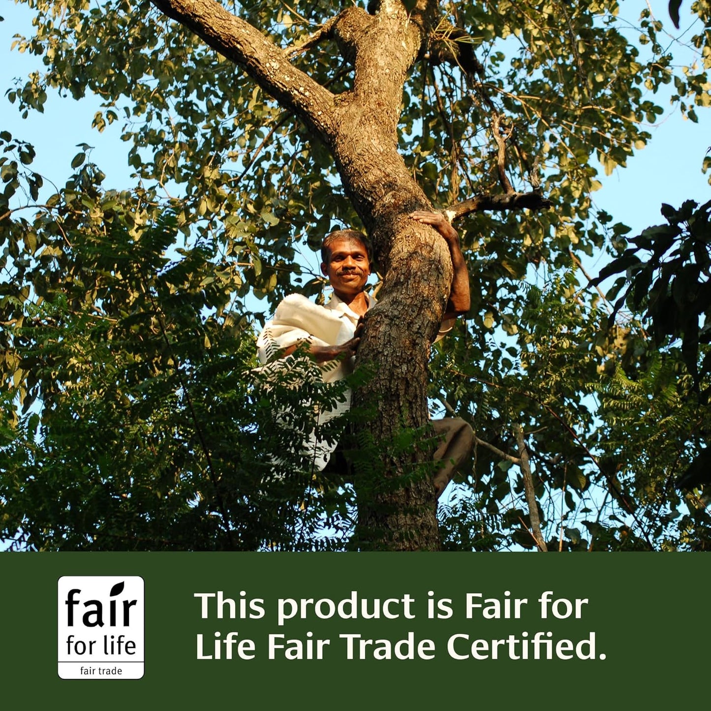 Certified Organic Haritaki Tablets for Detox & Rejuvenation - 90 Tablets - Non-GMO & Fair Trade