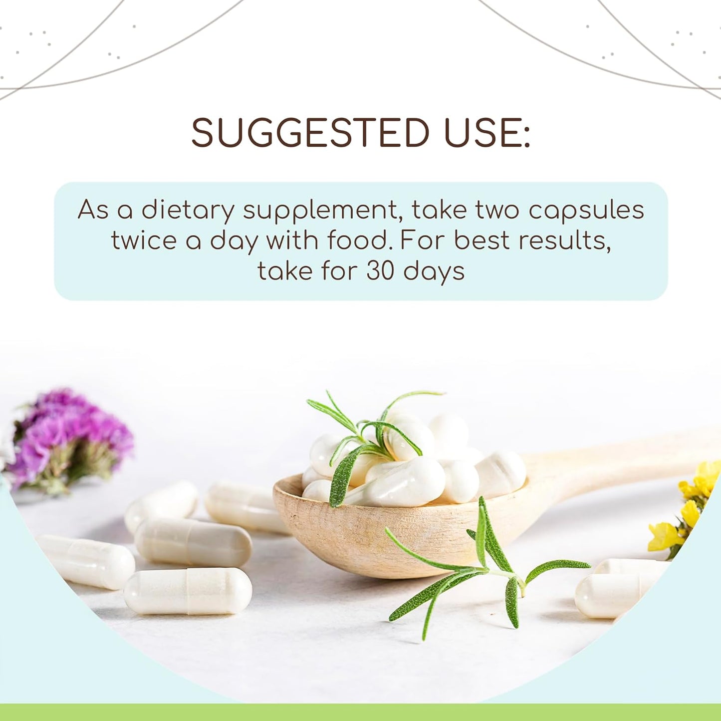 Certified Organic HerbEra Boldo Supplement - 60 Vegetarian Capsules | Natural Herbal Boldo Leaf Extract | USDA Organic Formula