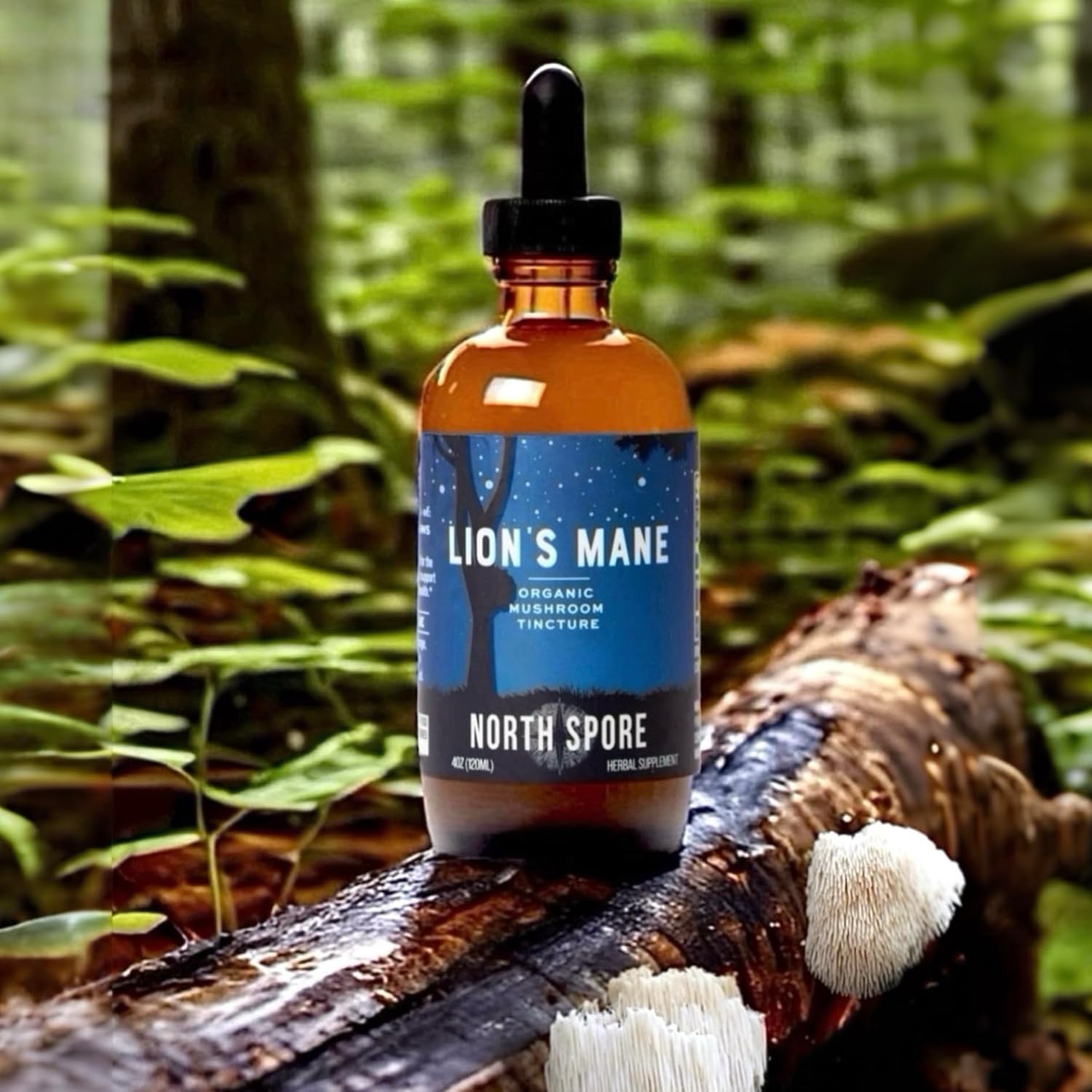 Certified Organic Lion's Mane Mushroom Tincture (4 oz) for Focus & Memory | Vegan, Non-GMO | USA-Made Brain Support Supplement