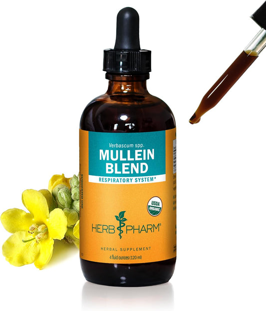 Certified Organic Mullein Blend Liquid Extract for Respiratory System Support - 4oz by Herb Pharm