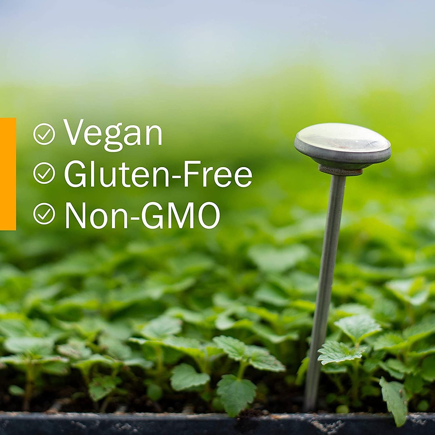 Certified Organic Olive Leaf Liquid Extract - Immune System Support - 4 Fl Oz