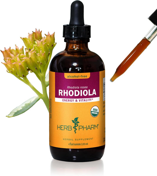 Certified Organic Rhodiola Root Extract - Energy, Endurance, Stamina - Alcohol-Free Glycerite, 4 oz