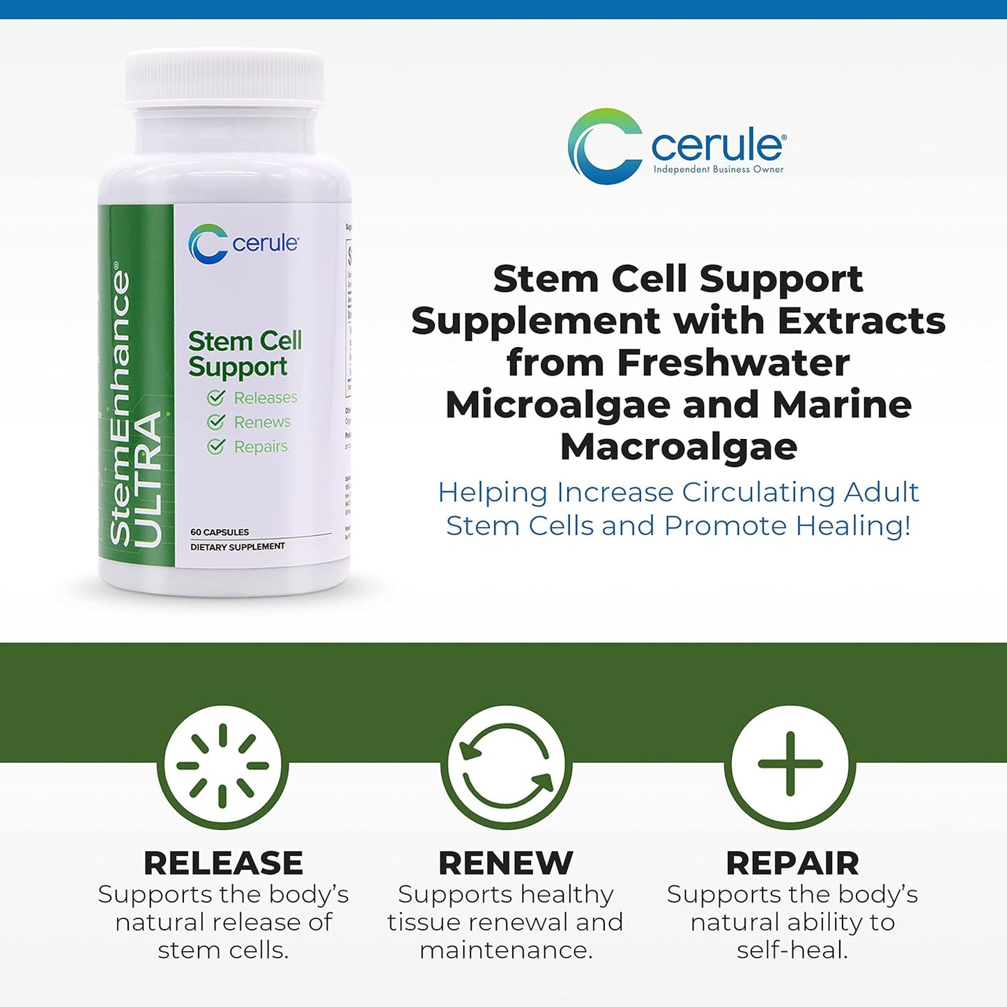 Cerule Stem Cell Support Supplement with Freshwater Microalgae and Marine Macroalgae for Healing & Stem Cell Production